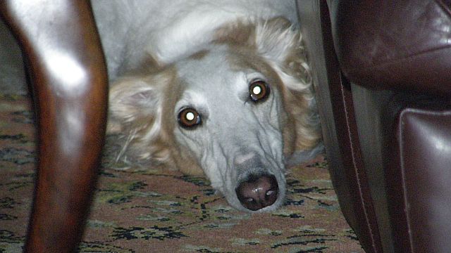 何も知らない！