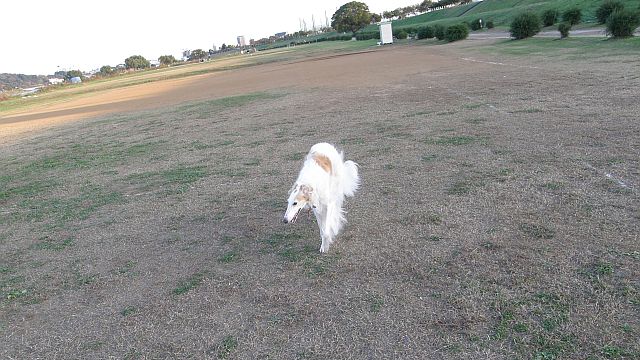 どこか遊びに行こうか？