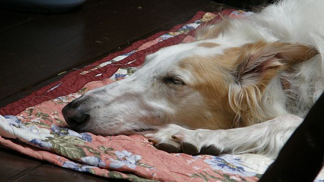 覚えているか５年前