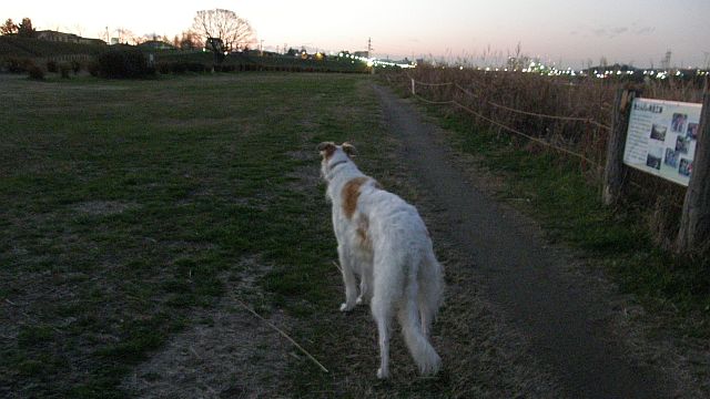 向うにいるぞ！