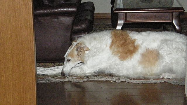 テスト・テスト