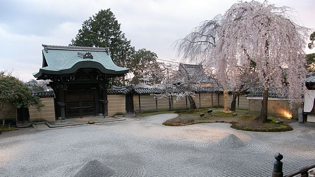 うまく撮れぬ！