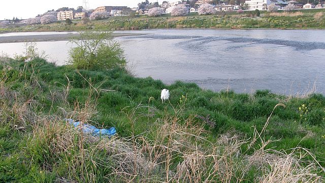 ヤボ用済ませて