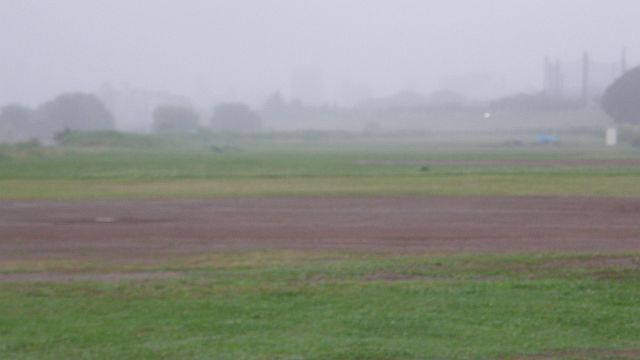 遠くは見えない