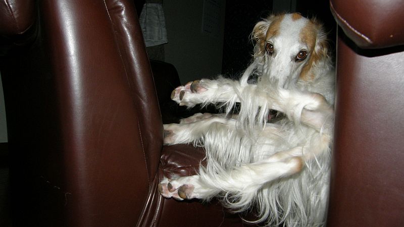 落っこちるぞ！