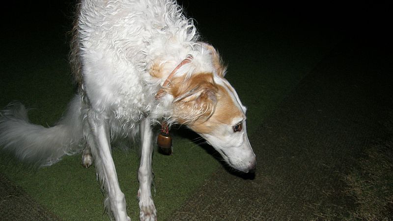 入浴ではありません！