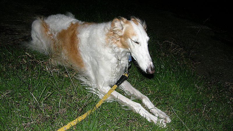 オイ、寒いぞ！