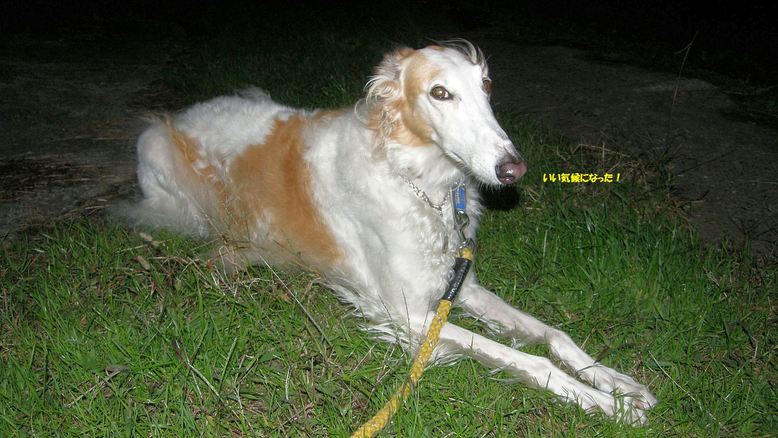 ちっとも寒くない