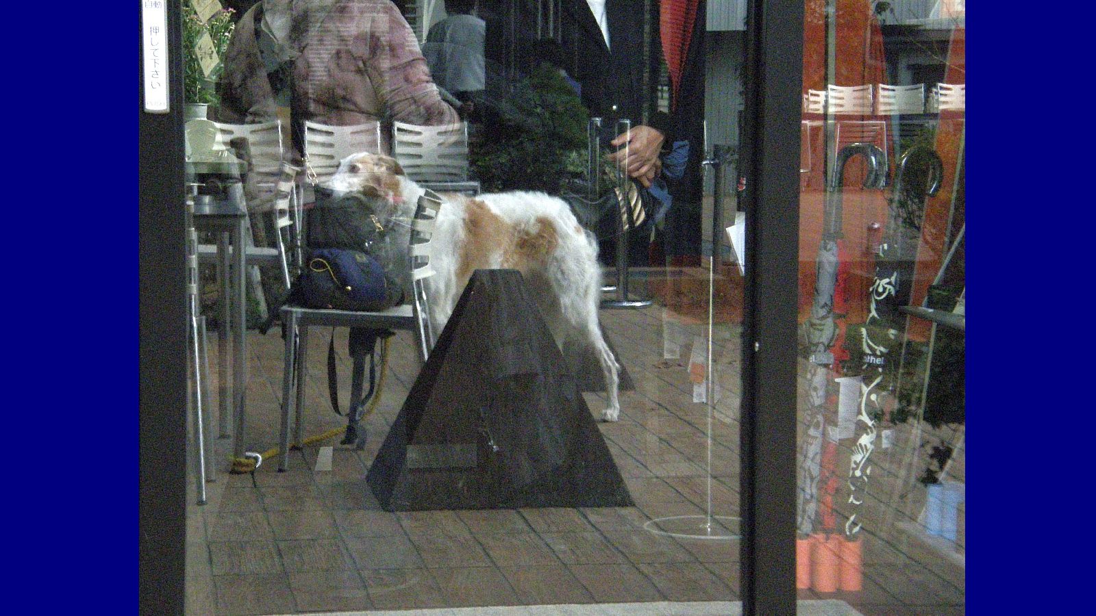 こちらはただの写真