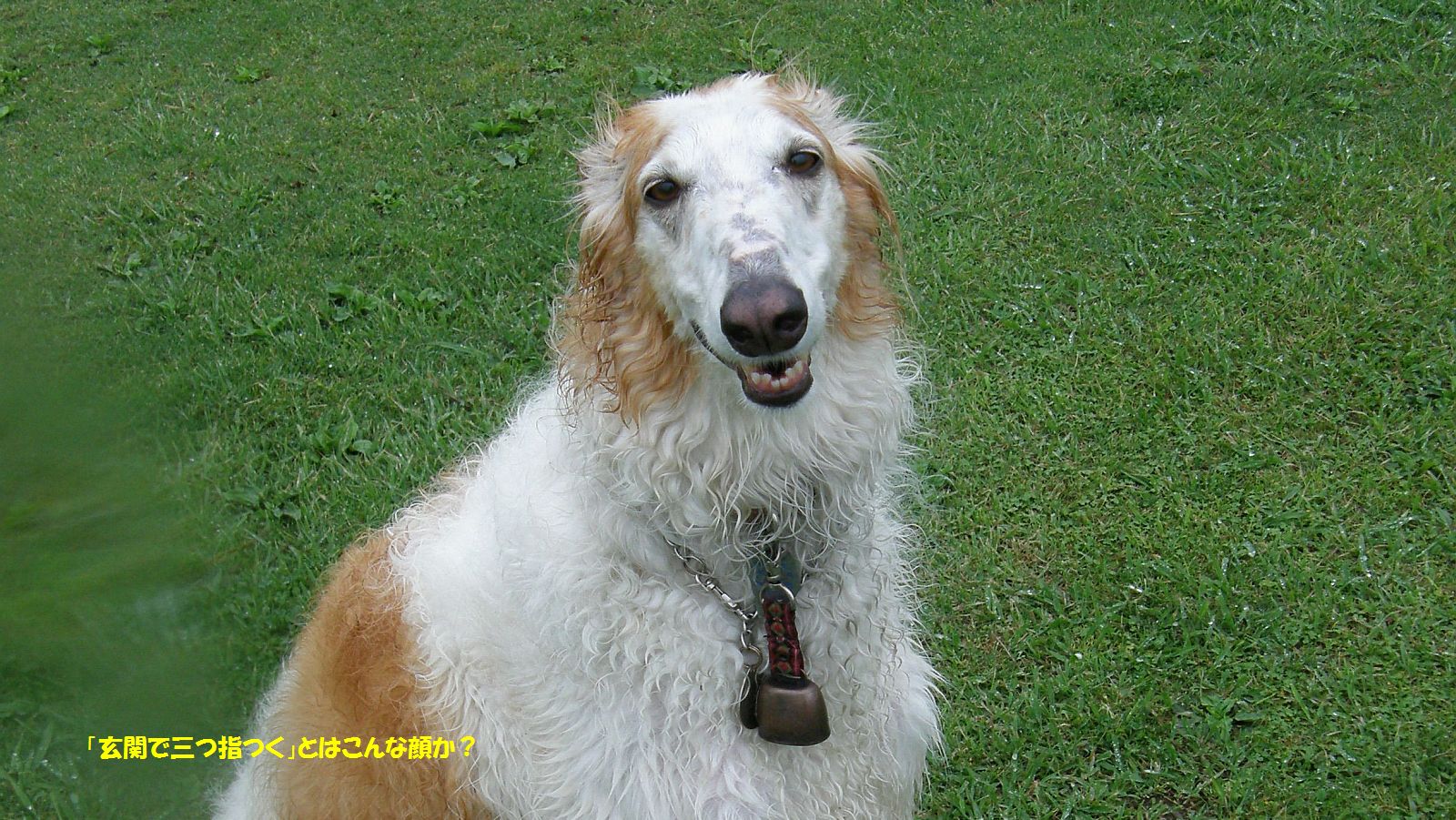 玄関で待つなんてあり得ない