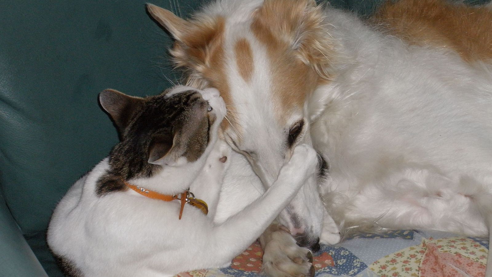 痛くされるとケンカが始まる