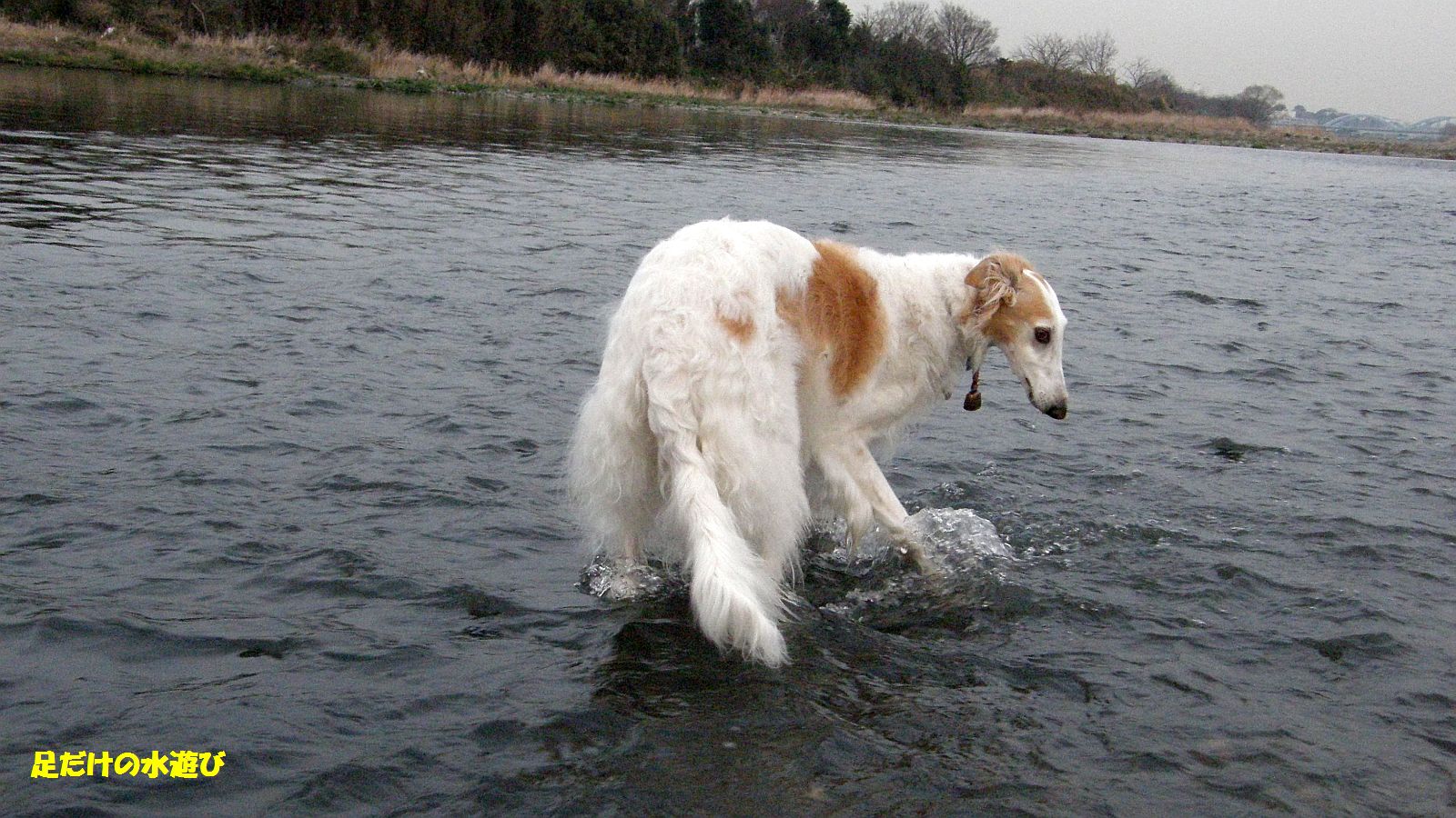 ちょっと冷たい