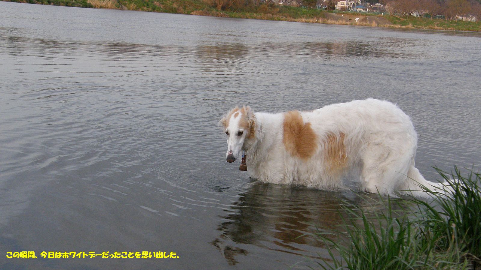 しまった、忘れた！