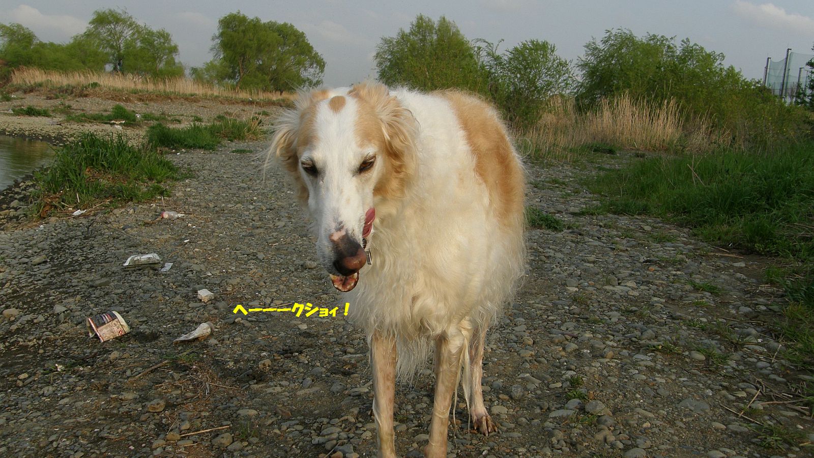 アタシャタバコハスイマセン