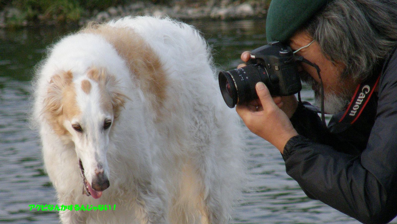 撮影に協力しましょう