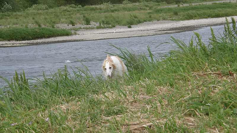 雨は多いがまだ乾燥