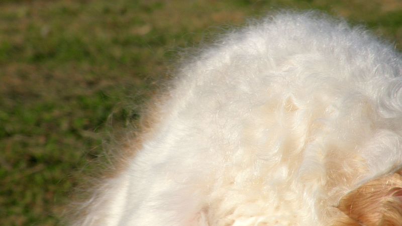 川で洗ったのではない