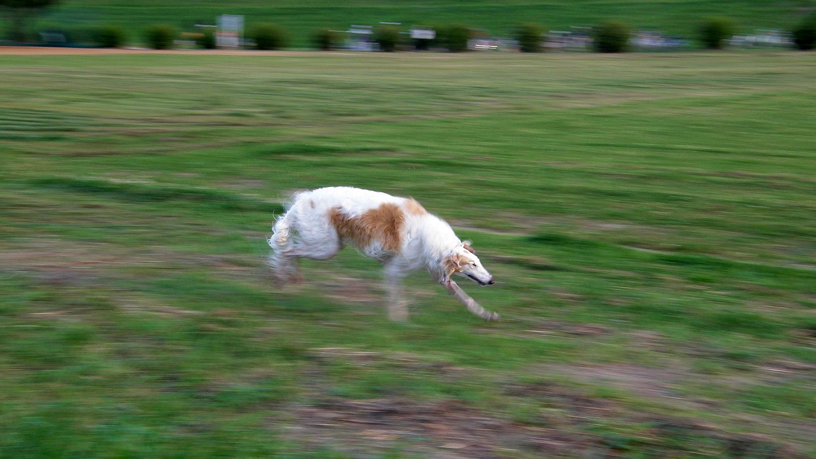 イメージ通りだ！