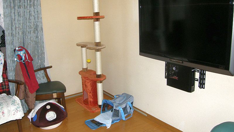 キャットタワー