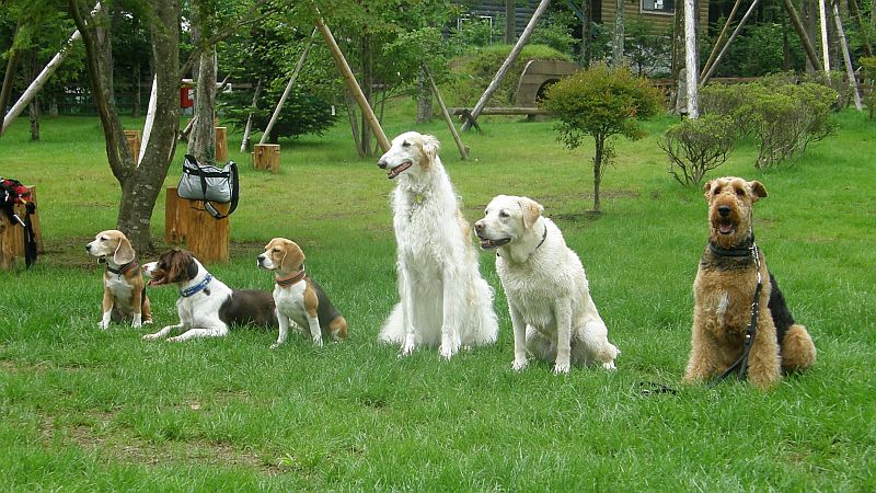 誰のバッグだ？