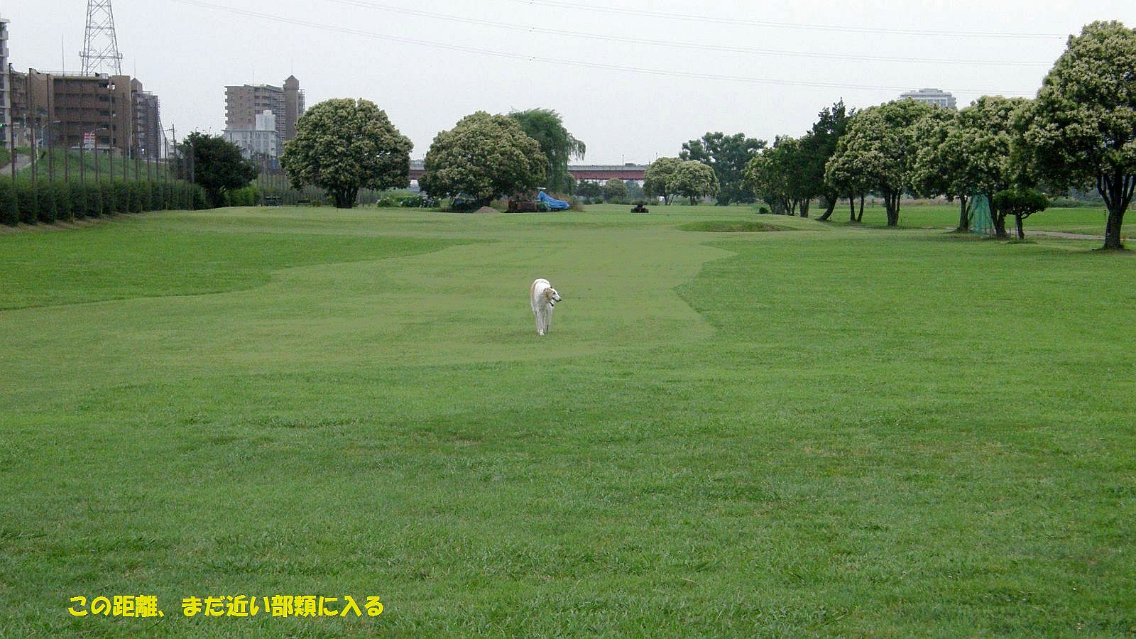 夜はもっと離れる