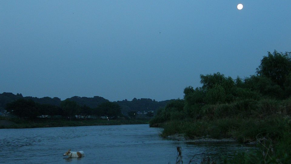 月あかりの下で