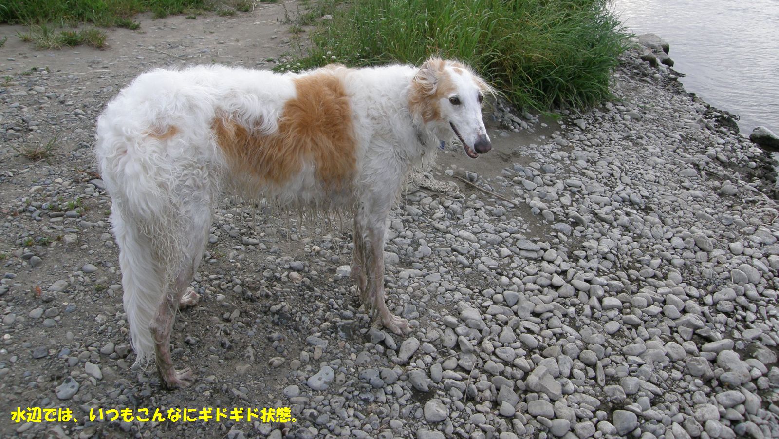 絵に描かれているとは大違い