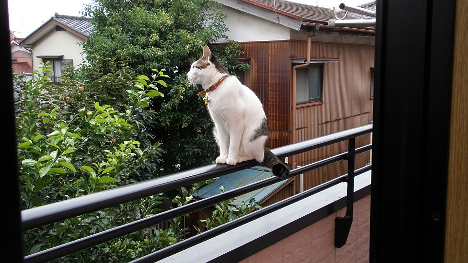 手すりの上はヤメトケ！