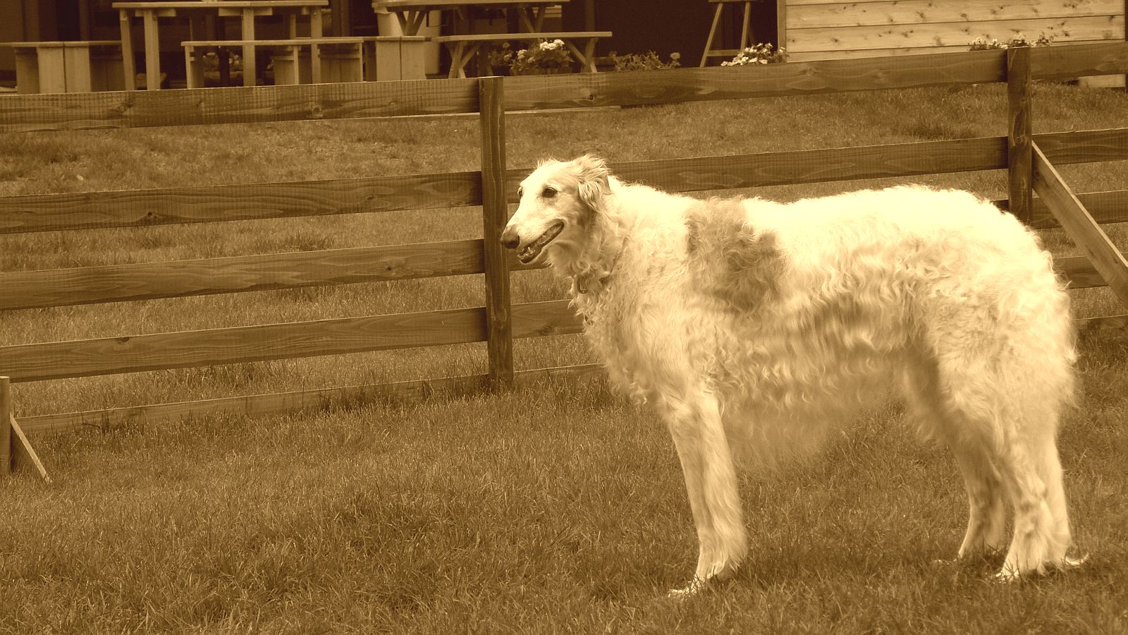 ひと味違う雰囲気