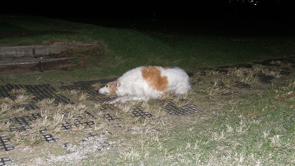 木枯しの中でも行き倒れ