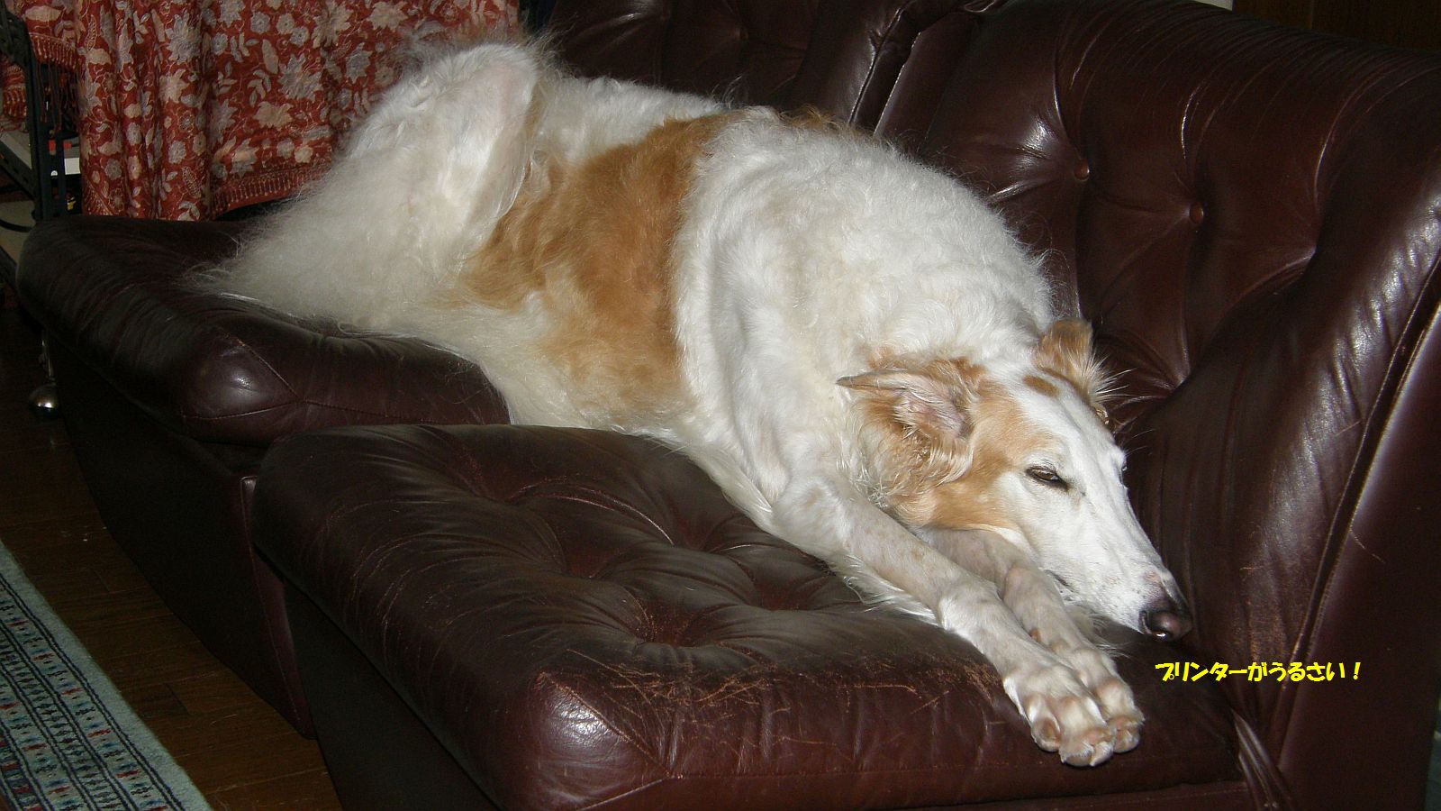 文句があるなら上いって寝てろ！