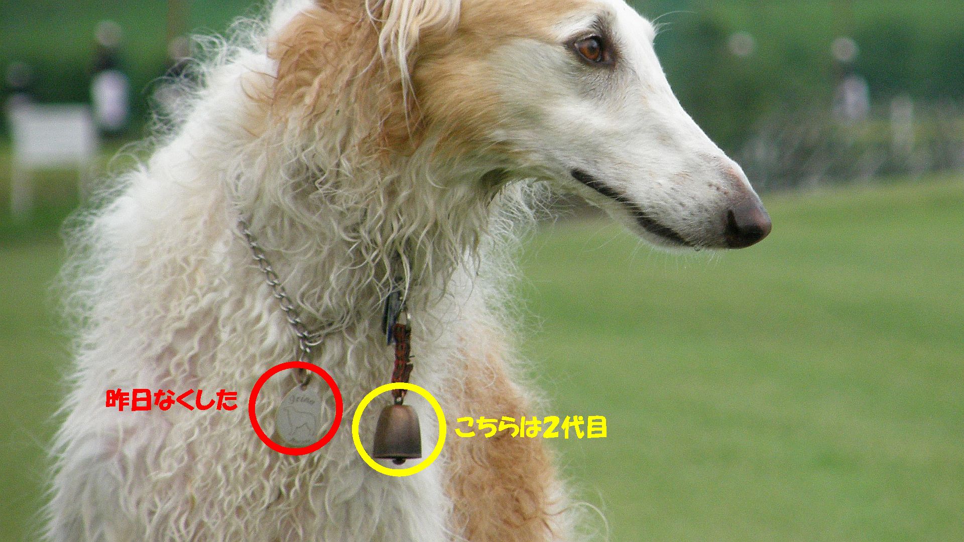 落した事が悔まれる