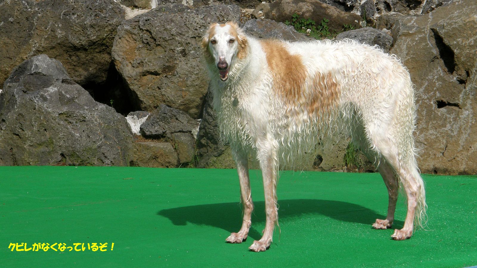 ウエストが弛んでいるぞ！