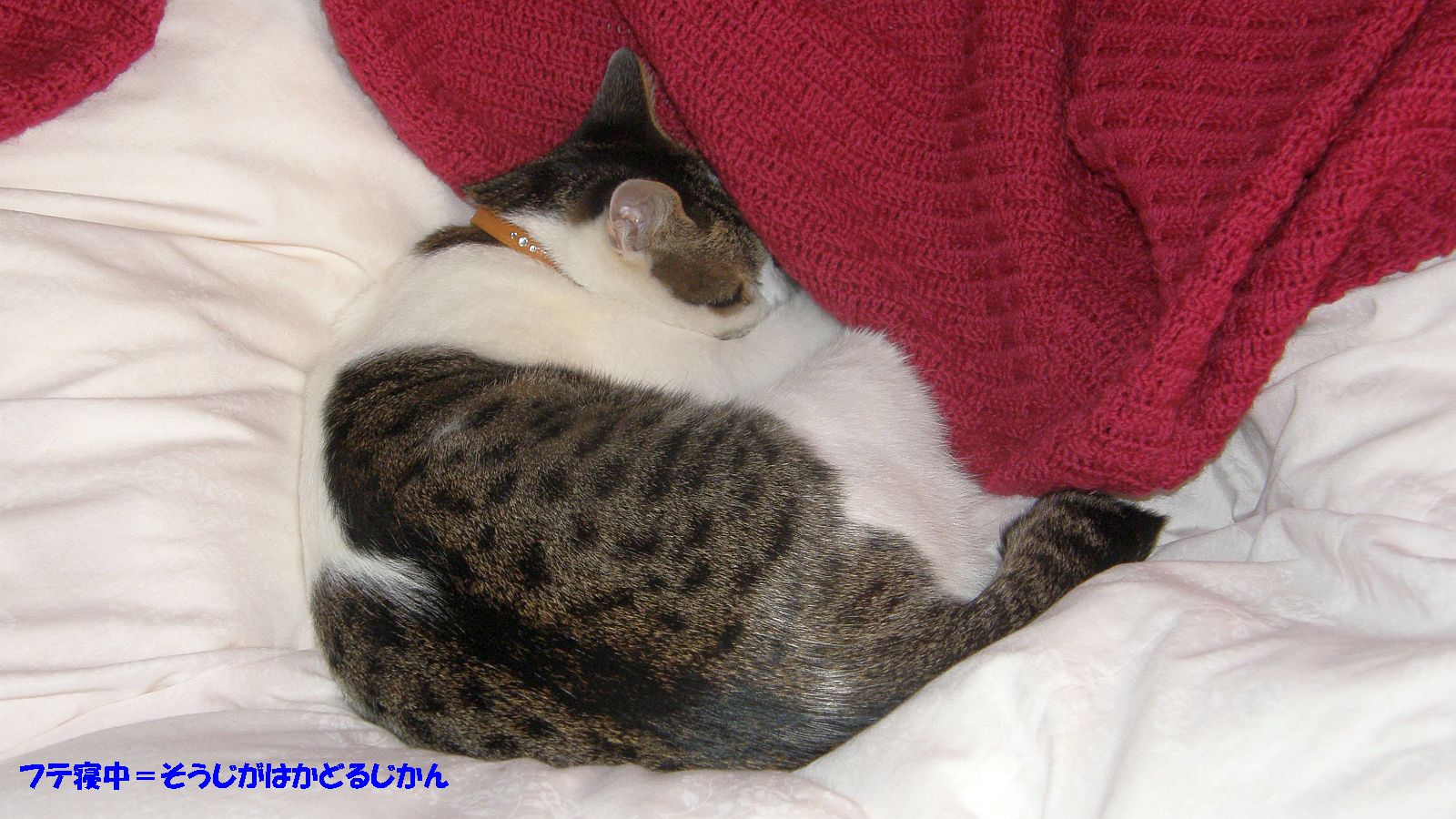 やっと静かになった