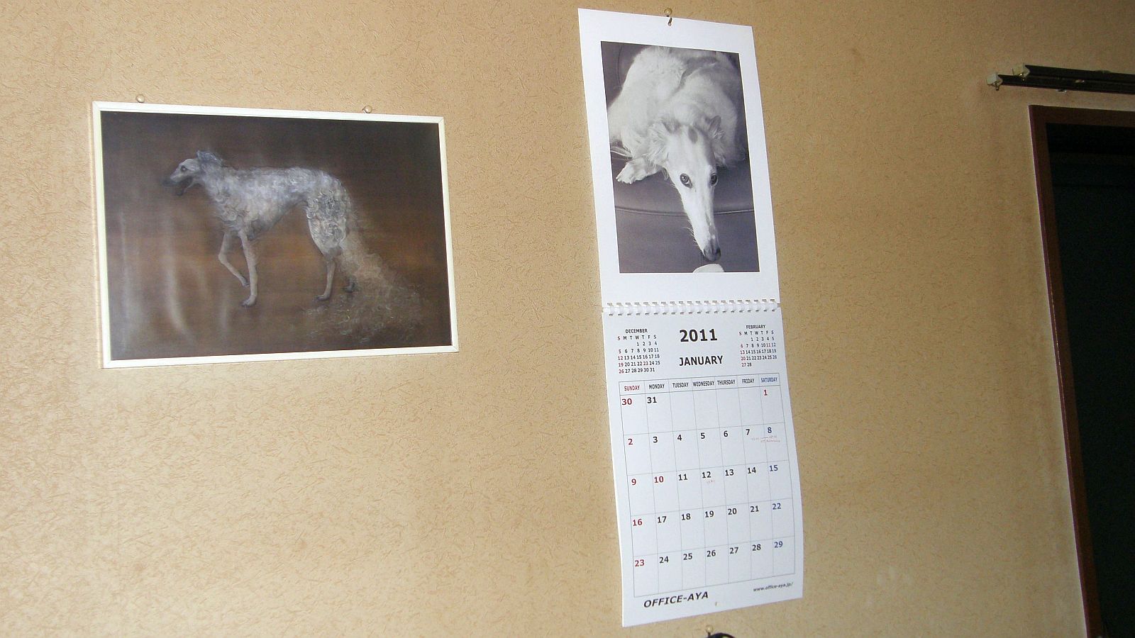 プレミア付の稀少品