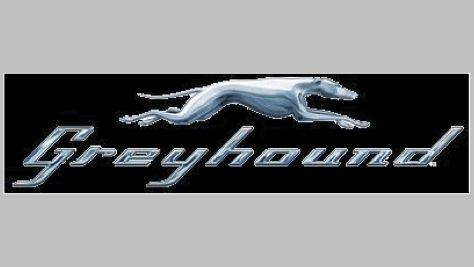 見たことあるでしょう