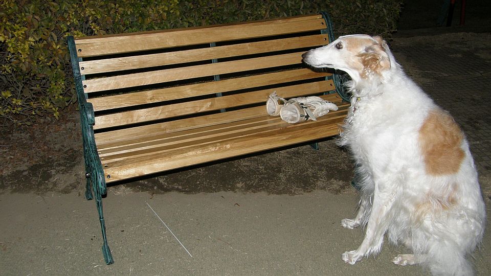 いつもの休憩ベンチ