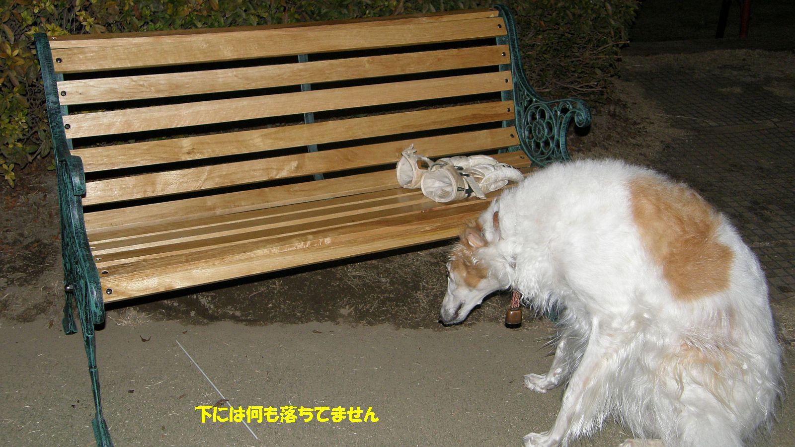 キタナイ手袋がアクセント