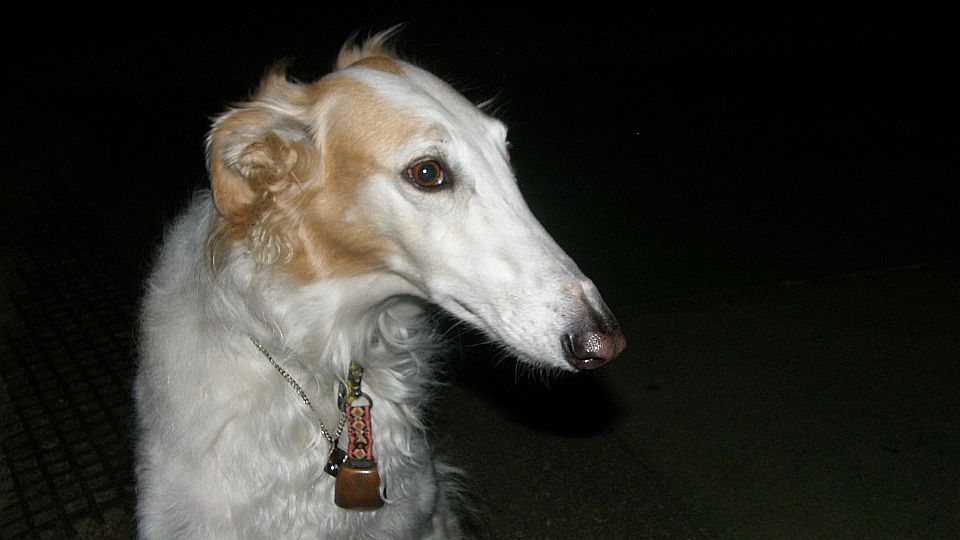 風がビュービュー