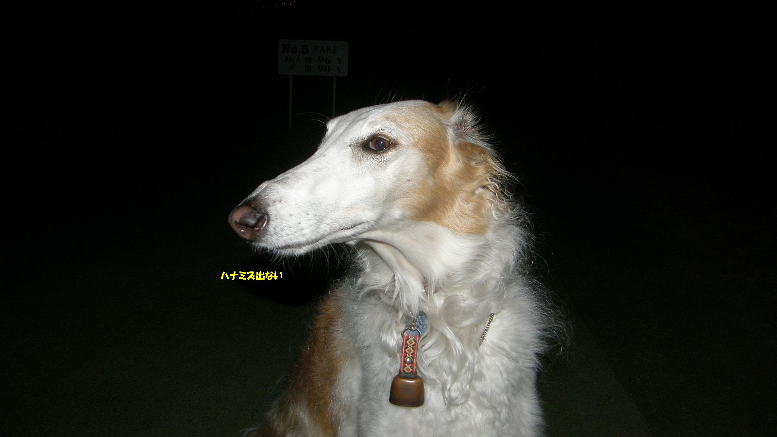 寒くない！ちょうどいい！