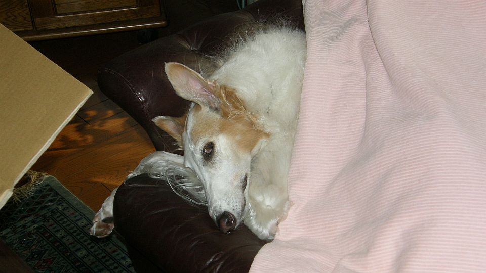 仕事をお願いする方が間違っている