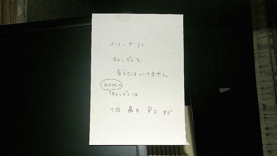 破って捨てるわけにはいかない