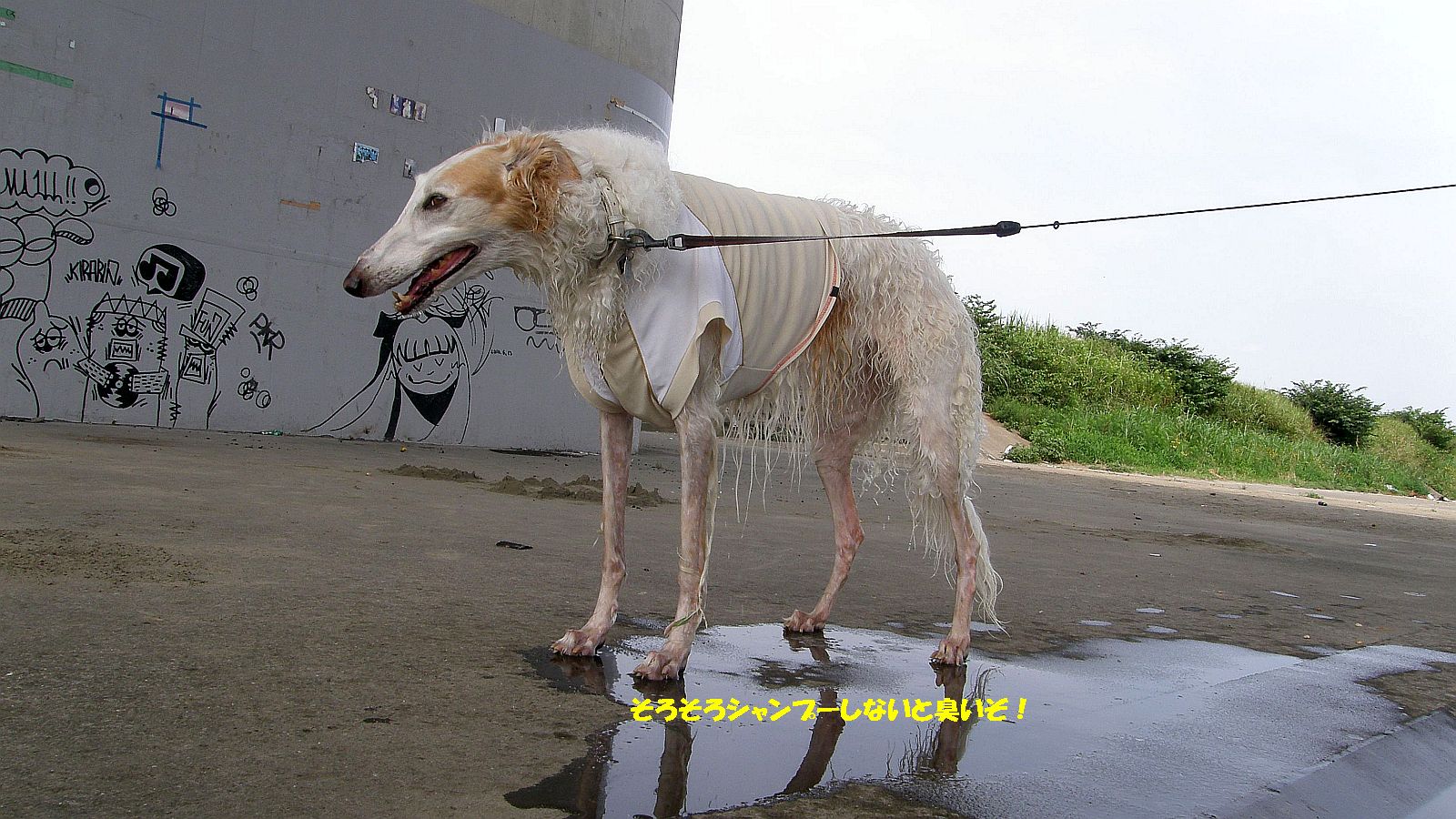 生乾きが一番臭い