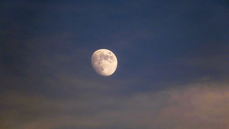 うまく撮れたぞ