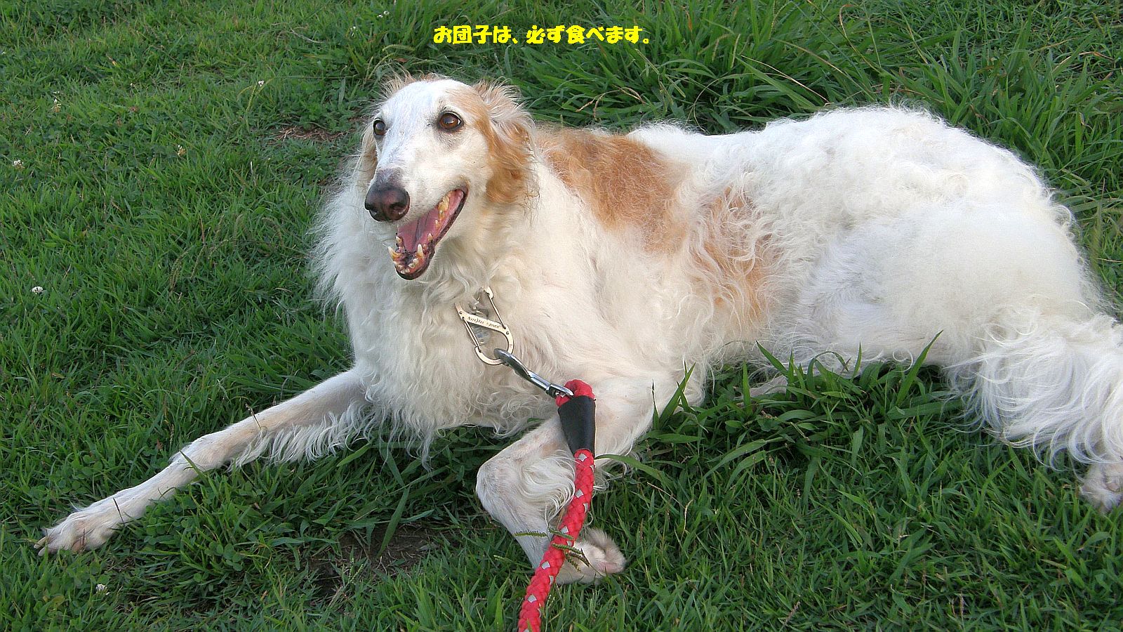 風流よりも食い気が優先