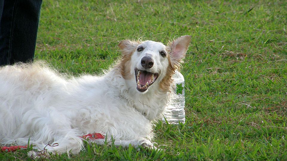 笑っているのか？