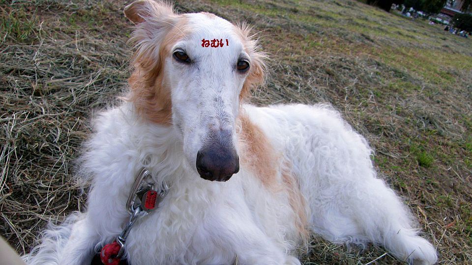 人出が少なく閑散としている