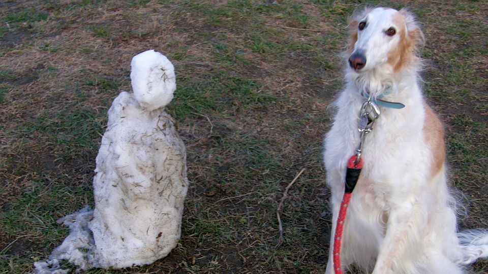 またすこし溶けた