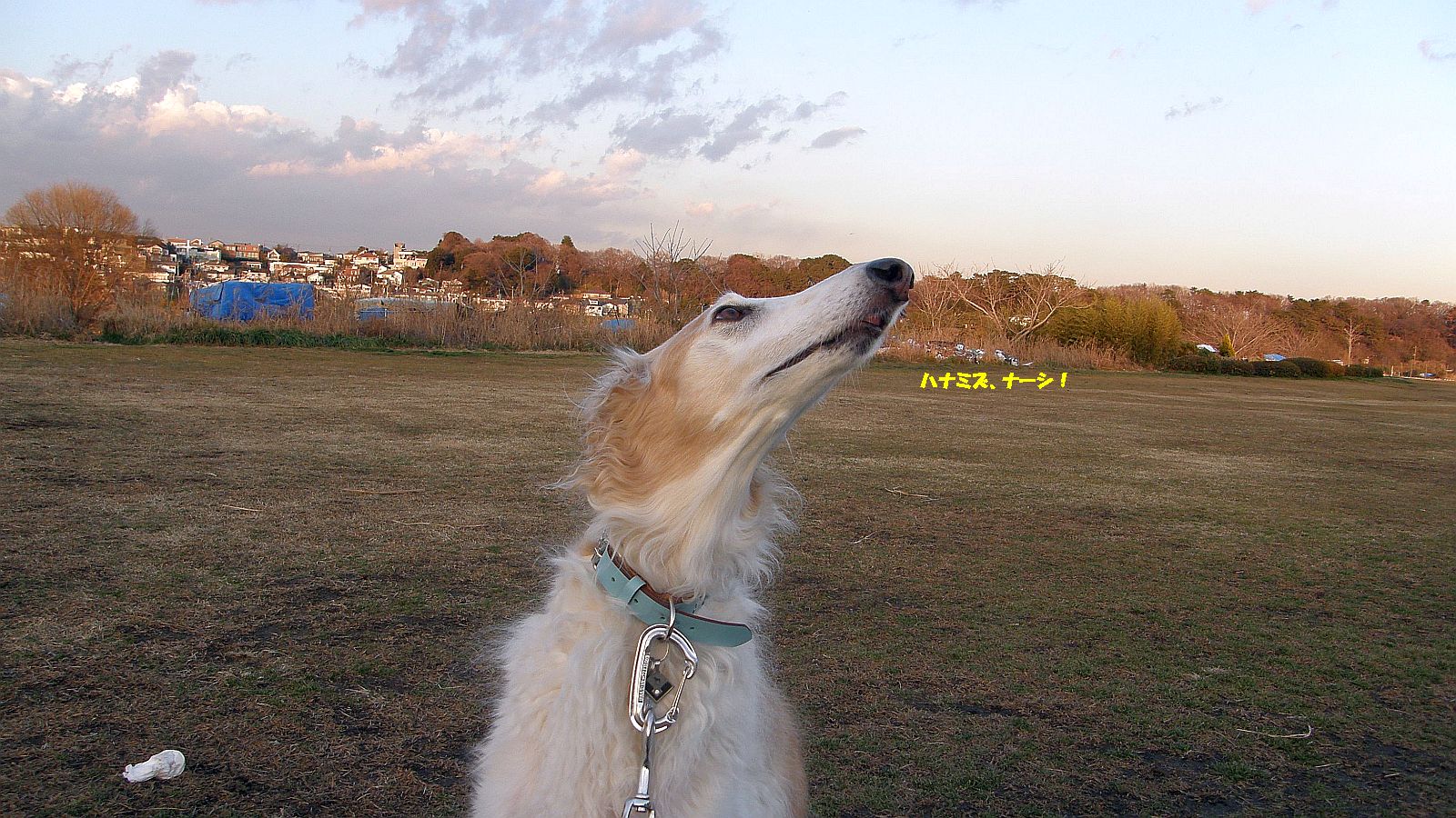 ハナミズ、ズルズル