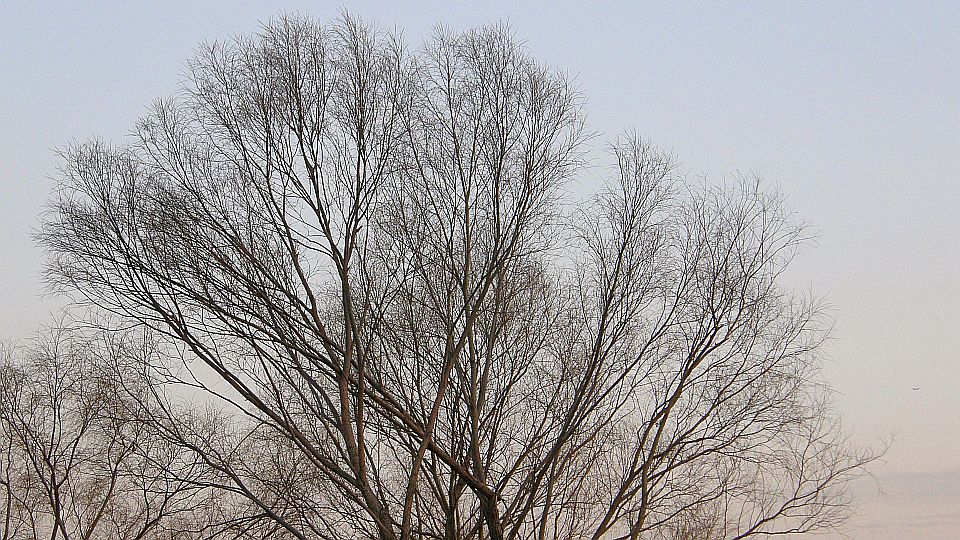 風がない＝寒くない